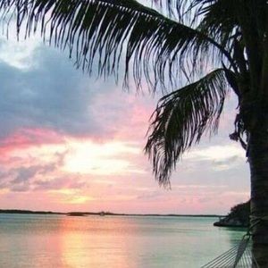 Meet your Posher, Liza